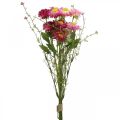 Rhodanthe rózsaszín-rózsaszín, selyem virágok, műnövény, szalmavirág csokor L46cm