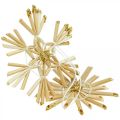 Floristik24 Straw Stars Glitter Gold szett karácsonyi díszek Ø6cm 24db
