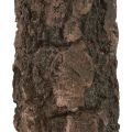 Floristik24 Oszlopos gyertyafa törzs díszgyertya barna 130/65mm 1db