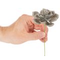 Mesterséges pozsgás viasz műnövény dróttal 8cm 8db | Floristik24.hu