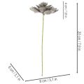 Mesterséges pozsgás viasz műnövény dróttal 8cm 8db | Floristik24.hu