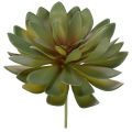 Floristik24 Mesterséges pozsgás dísznövényként, zöld, 18 cm, 3 darab