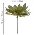Mesterséges pozsgás dísznövényként, zöld, 18 cm, 3 darab | Floristik24.hu