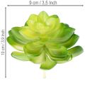 Mesterséges pozsgás növény, zöld, dekorációnak tálban vagy vázában, 10 cm, 4 darab | Floristik24.hu