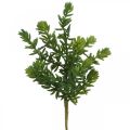 Floristik24 Zamatos műzöld növény ragasztásra 25cm zöld 2db