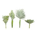 Floristik24 Pozsgás növények Mesterséges zöld növény zöld Válogatott 9-18,5cm 4db