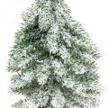 Floristik24 Dekoratív karácsonyfa, téli dekoráció, fenyő hóval 19cm