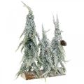 Floristik24 Havas fenyők, Adventi dekoráció, téli erdő 16,5cm H28cm