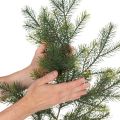Műfenyőág kreatív virágkötészethez, 175 cm | Floristik24.hu