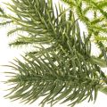 Műfenyőág ünnepi dekorációhoz, 22 cm, 2 darab | Floristik24.hu