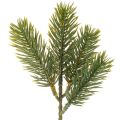 Floristik24 Műfenyő ág téli dekorációhoz, 25 cm, 24 darab