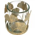Floristik24 Tealámpa tartó ginkgo levelek arany ginkgo gyertyatartó asztali dekoráció Ø8,5cm