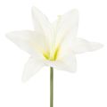 Floristik24 Műfehér tigrisliliom vázákba és kompozíciókba, 29 cm-es csokor, 6 db-os