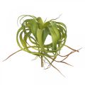 Tillandsia mesterséges ragadható világoszöld műnövény 30cm
