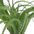 Floristik24 Aloe műzöld műnövény ragadható zöld növény 38Øcm
