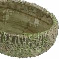 Floristik24 Ültetőbeton ovális antik megjelenés zöld, barna 24×14×13cm