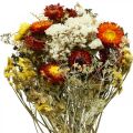 Floristik24 Szárított virágcsokor Örök virágok és tengeri levendula 125g szárított virágok