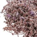 Szárított virágkoszorú tengeri levendula natúr Ø30cm | Floristik24.hu