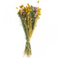 Floristik24 Szárított virágcsokor Szárított virágcsokor Réti virágcsokor 58cm