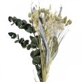 Floristik24 Szárított virágcsokor bogáncs eukaliptusz szárított ezüst 64cm