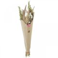 Floristik24 Csokor szárított virágból fű Phalaris szalmavirág rózsaszín 60cm 110g