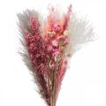 Floristik24 Szárított virágcsokor rózsaszín fehér phalaris masterwort 80cm 160g
