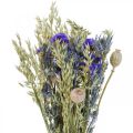 Floristik24 Szárított virágcsokor Réti virágcsokor kék H50cm 100g