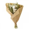 Floristik24 Csokor szárított virágból szalmavirág gabona mák kapszula száraz fű 50cm