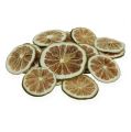 Floristik24 Lime szelet zöld 500 g lime szelet