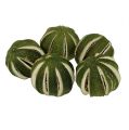 Floristik24 Egész zöld lime 500g