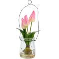Floristik24 Tulipán rózsaszín üvegben H22,5cm 1db