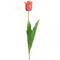 Floristik24 Tulipán művirág piros, narancssárga Műtavaszi virág H67cm
