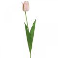 Floristik24 Tulipán műrózsaszín szárú virág H67cm