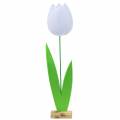 Floristik24 Nemez virágos tulipán fehér H88cm