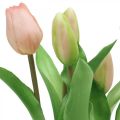 Floristik24 Tulipán rózsaszín, zöld cserépben Cserepes mesterséges növény dekoratív tulipán H23cm