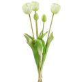 Floristik24 Tulipánkrém Real-Touch virágdísz L43,5cm 5db