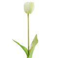 Floristik24 Tulipánkrém Real-Touch virágdísz L43,5cm 5db