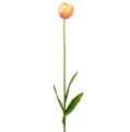 Floristik24 Tulipán rózsaszín-sárga 86cm 3db