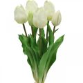 Floristik24 Artificial Tulipán fehér krém Real Touch 38cm 7db