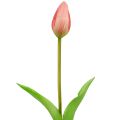 Floristik24 Tulipán gallér rózsaszín igazi érintés