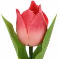 Floristik24 Tulipán keverék művirág rózsaszín sárgabarack 16cm 12db