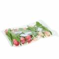 Floristik24 Tulipán keverék művirág rózsaszín sárgabarack 16cm 12db