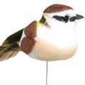 Floristik24 Tavaszi dekoráció, madarak dróton, műmadár barna, fehér H3cm 12db