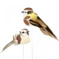 Floristik24 Tavaszi dekoráció, madarak dróton, műmadár barna, fehér H3cm 12db