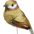 Floristik24 Rugós,madár dróton,deco madarak natúr színek H7,5cm 12db