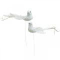 Floristik24 Fehér galambok, esküvői, díszgalambok, madarak huzalon H6cm 6db