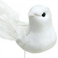 Floristik24 Fehér galambok, esküvői, díszgalambok, madarak huzalon H6cm 6db