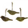 Floristik24 Akasztható madarak, rugós dekoráció, fa akasztós natúr, zöld H4cm 6db