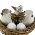 Floristik24 Madárfészek tojással és madárral 6db