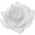 Floristik24 Viaszrózsa fehér Ø10cm Viaszított művirág 6db